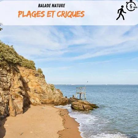 Les De L'albatros
