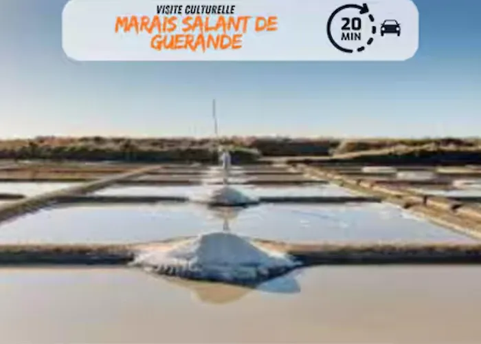 Apartamento Les De L'albatros